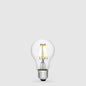 Low Voltage GLS LED Bulbs