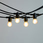 10m Black Festoon String Lights with 10 Bulb 240V