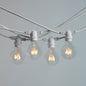 10m White Festoon String Lights with 10 Bulb 240V